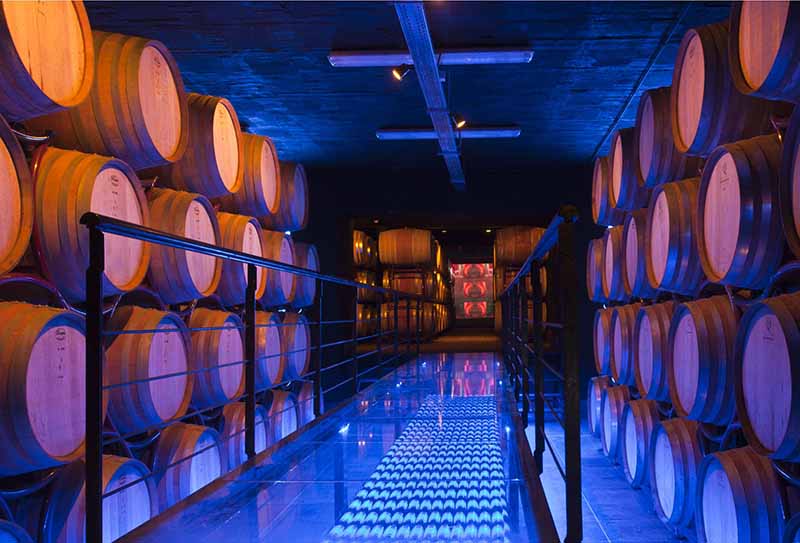 Κατώγι Αβέρωφ_Αμπελώνας 1