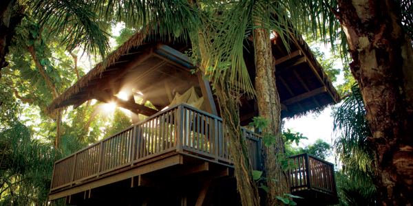 6a0128763ee05d970c01bb08d33edb970d-800wi