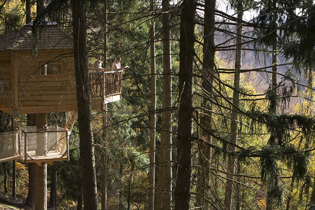 CABANES-ALS-ARBRES-518232