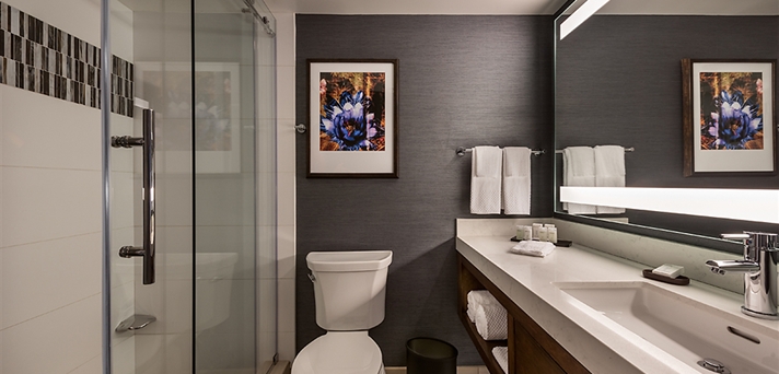 ES_suitebathroom_5_712x342_FitToBoxSmallDimension_Center