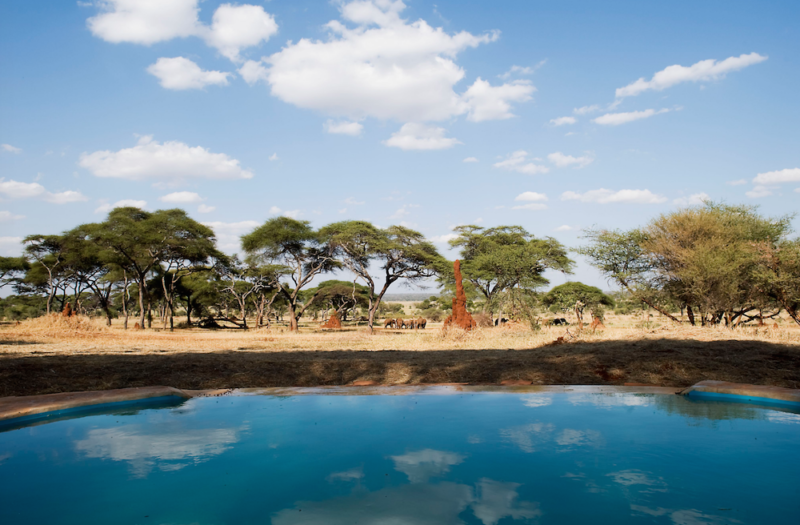 swala-camp-tanzania-pool7