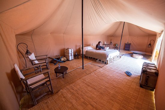 mindythelion-scarabeo