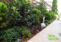 Κήπος: Το ανοιξιάτικο δίλημμα – Εποχιακά φυτά ή μια ολική ανακαίνιση;