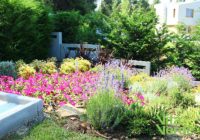 Χαμηλής συντήρησης λύσεις φυτοτέχνησης– μύθος ή γεγονός;