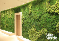 Πως τα ξενοδοχεία επηρεάζουν τις άμεσες εμπειρίες των ανθρώπων με την φύση σε μια πόλη;