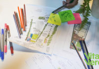 Γιατί πρέπει να εμπιστευτείτε έναν αρχιτέκτονα τοπίου για τον κήπο του ξενοδοχείου σας