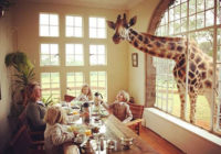 Ξενοδοχείο που τρως με καμηλοπαρδάλεις!