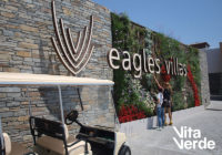 Κατακόρυφος κήπος: ο τρόπος να ξεχωρίσει το ξενοδοχείο σας!