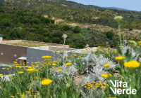 Πώς να δημιουργήσετε έναν κήπο 4 εποχών στο ξενοδοχείο σας