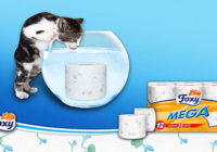 Όχι πια βουλεμένες αποχετεύσεις με τα υδατοδιαλυτά χαρτιά υγείας Foxy