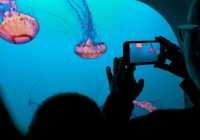 Video – ο αγαπημένος τύπος περιεχομένου για τους ταξιδιώτες