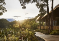 ONE&ONLY GORILLA’S NEST, Rwanda: Ένα μέρος μαγευτικό