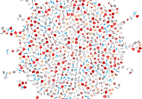 Οι προκλήσεις που έφερε η πανδημία στους ξενοδόχους