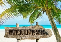 Τάσεις της mainstream φιλοξενίας: Όλα τα ταξίδια γίνονται ουσιαστικά Ταξίδια ευεξίας