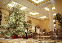 Μεγάλη Βρεταννία: Πραγματοποίησε τη φωταγώγηση του χριστουγεννιάτικου δέντρου