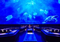 Ολιστική Κουζίνα: Γαστρονομία, τέχνη και οπτικά στοιχεία συνδυάζονται για να δημιουργήσουν το σύμπαν του Alchemist