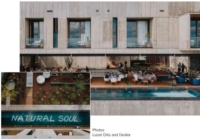 FLAVIA HOTEL, MEXICO: Αρμονία με το περιβάλλον